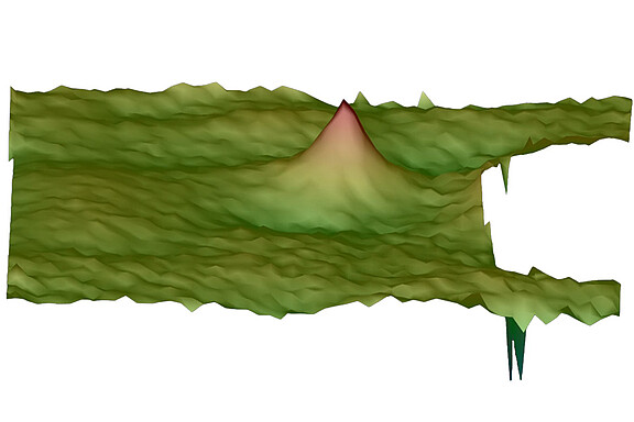 Individuelle Klassifizierung