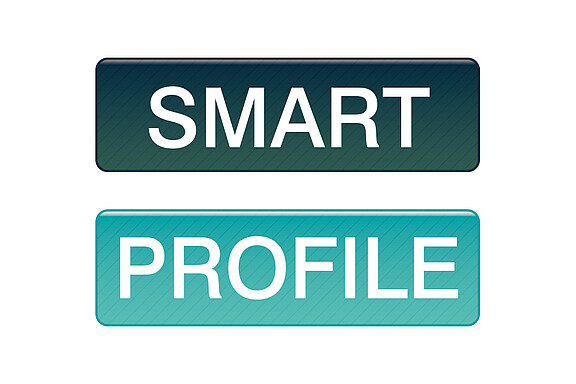 Ausführung Smart oder Profile