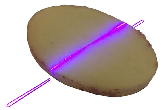 Volumenmessung von Kartoffelscheiben volume-control-potato-slice.jpg