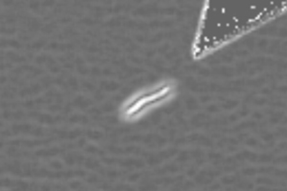 KI-basierte Klassifizierung