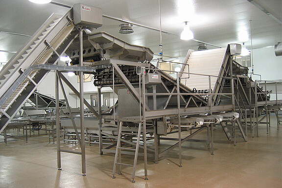 Sortierung von Krabben sorting-crabs.jpg